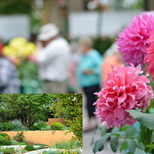Bringing the Kent Garden Show “Look Inspired by the Kent Garden Show? Here’s How to Recreate the Magic in Your Own Garden