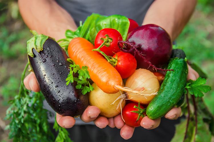Should I start growing my own fruits & vegetables? The short answer is: absolutely! With countless health and monetary reasons to start, there’s no better time than now to get planting.