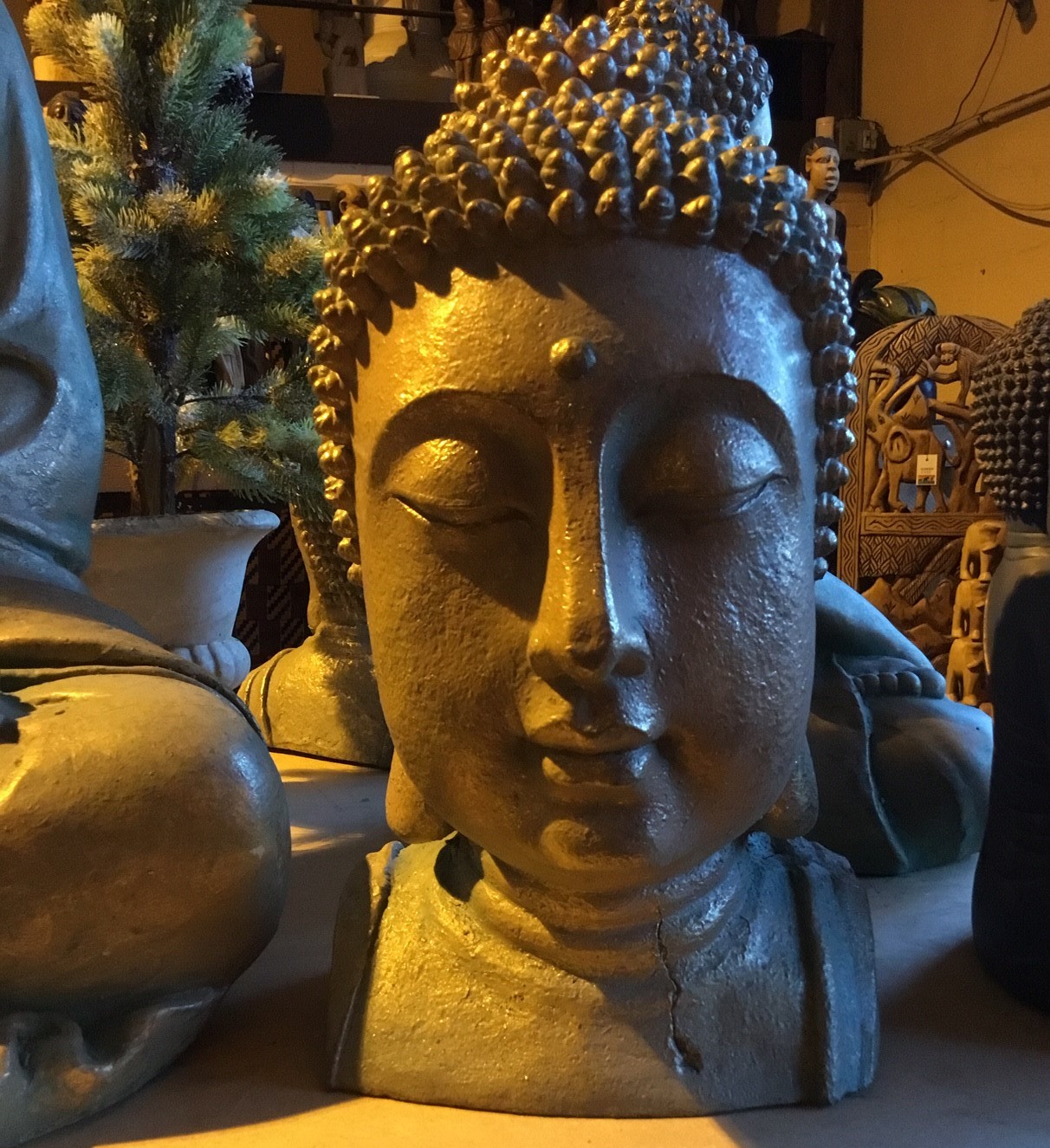 Budda head