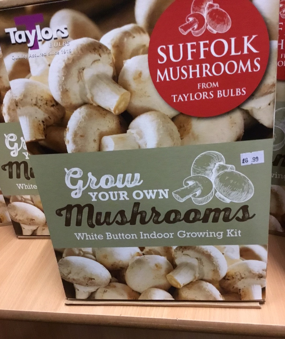 Mushroom Kit Large